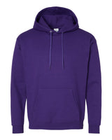 Hanes Unisex EcoSmart® Hooded Sweatshirt. P170 - Athletic Purple