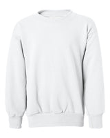 Hanes Youth EcoSmart® Crewneck Sweatshirt. P360 - White