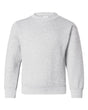 Hanes Youth EcoSmart® Crewneck Sweatshirt. P360 - Ash