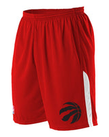 Alleson Athletic Men's NBA Logo'd Shorts. A205LA - Toronto Raptors
