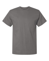 Champion Unisex Classic T-Shirt. T425 - Stone Grey